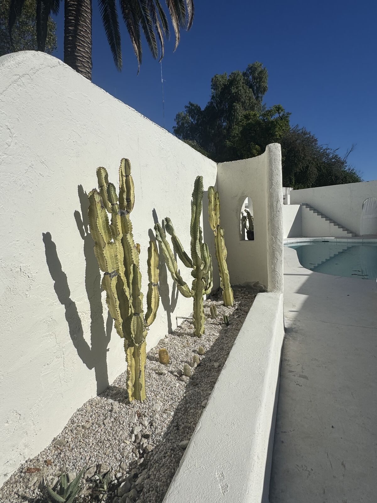 Cactus Garden, 10:07 AM